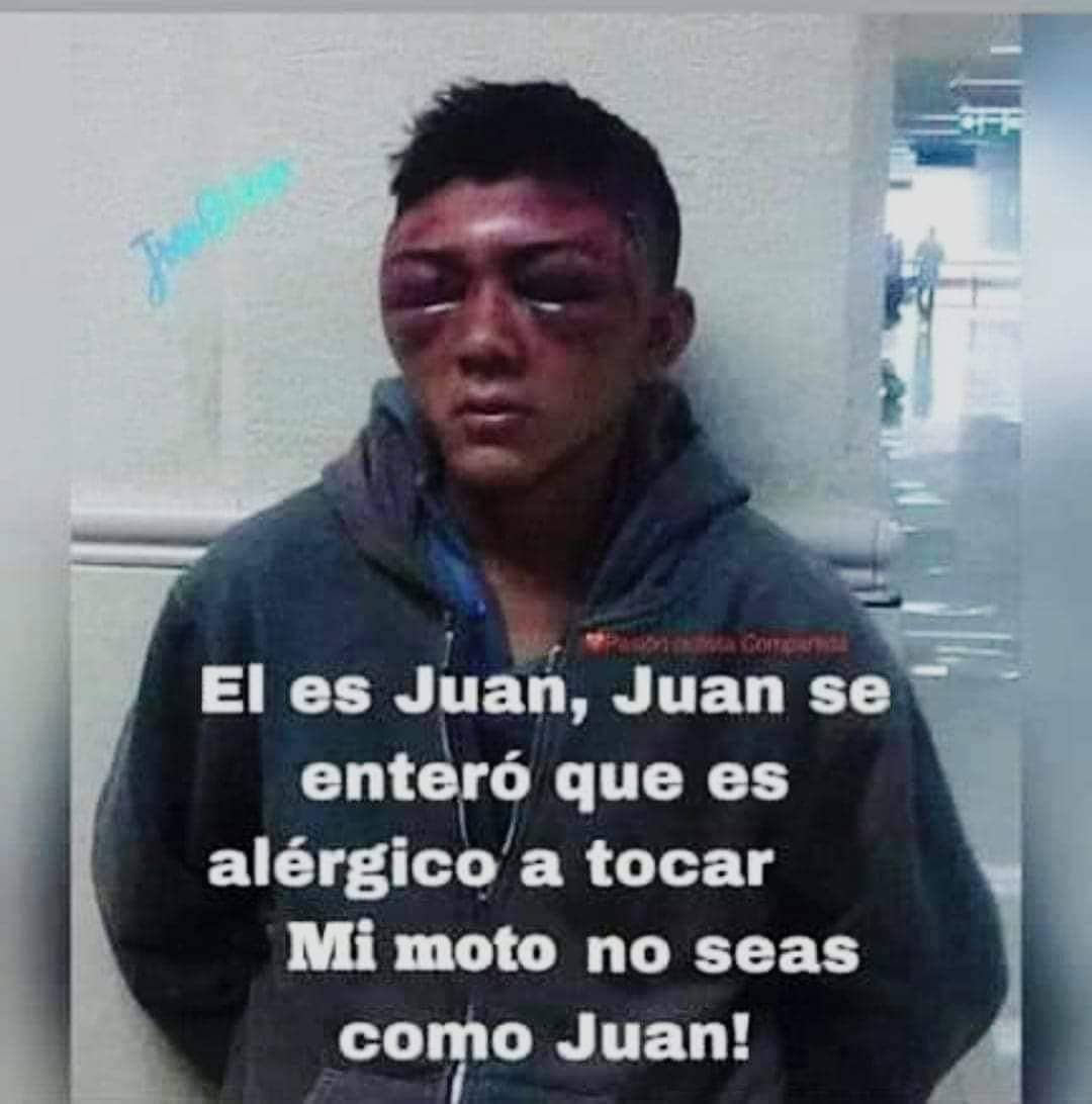 AlertaArgNews's tweet photo. Síganme para más domas 💀⚰️ https://t.co/ciw75nZn5B