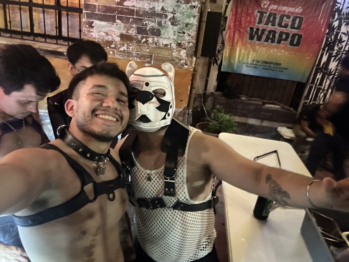 Osvi_doom's tweet photo. #furriosoorgullo #hillo #pup https://t.co/no2sUGDUFF