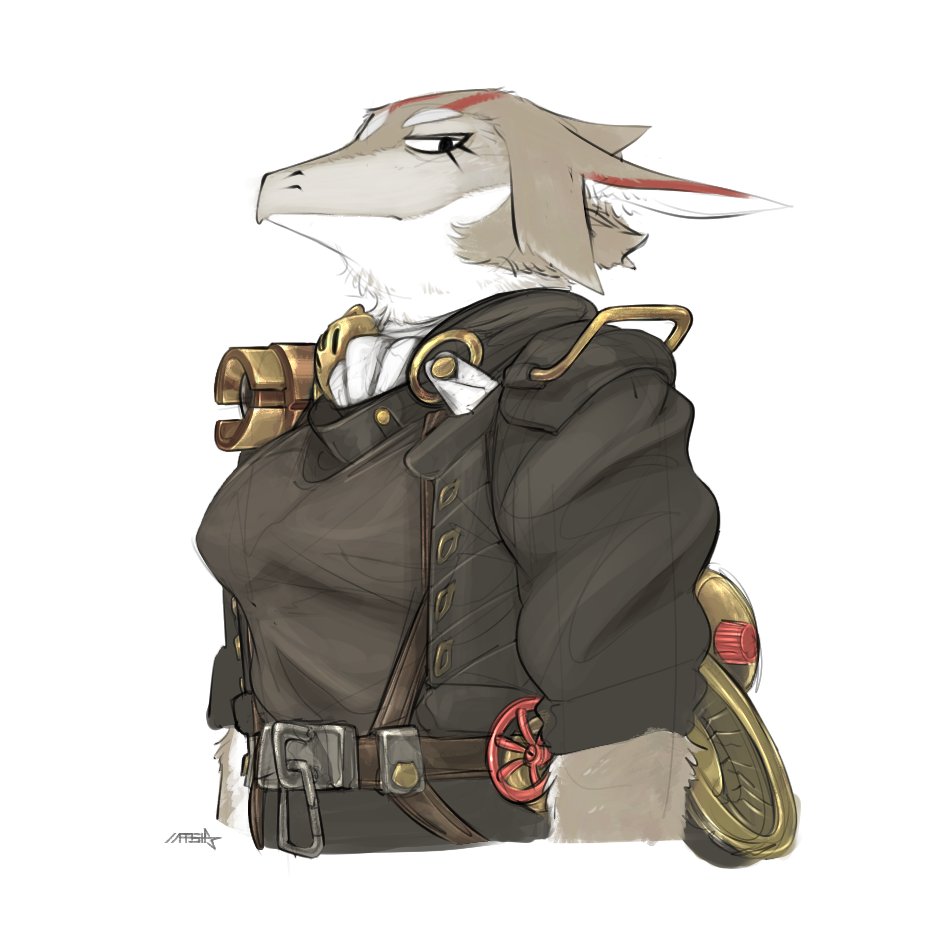 wf concept