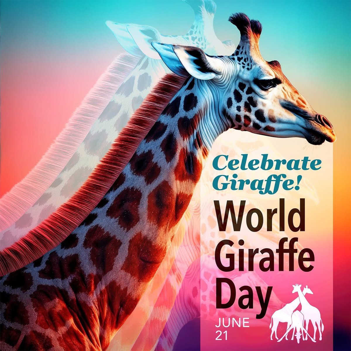 Amy Goldberg (@agoldberg_dp) on Twitter photo  Amy Goldberg (@agoldberg_dp) on Twitter photo