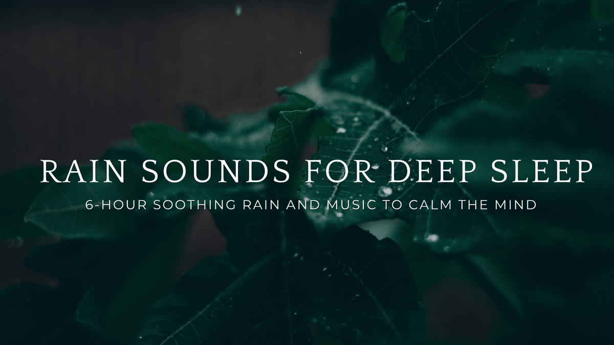 SleepEasyRelax's tweet photo. Drift into Serenity 🌙
Struggling with restless nights? Experience the calming embrace of our 6-hour rain sounds combined with soothing music. 

🌧️ Watch now: https://t.co/Myhv0Ntgan

#DeepSleep #RainSounds #Relaxation #insomnia #naturesounds https://t.co/MqGqnsXdTN