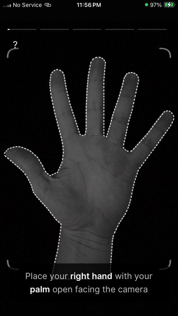 Kingtee🐼 tweet media