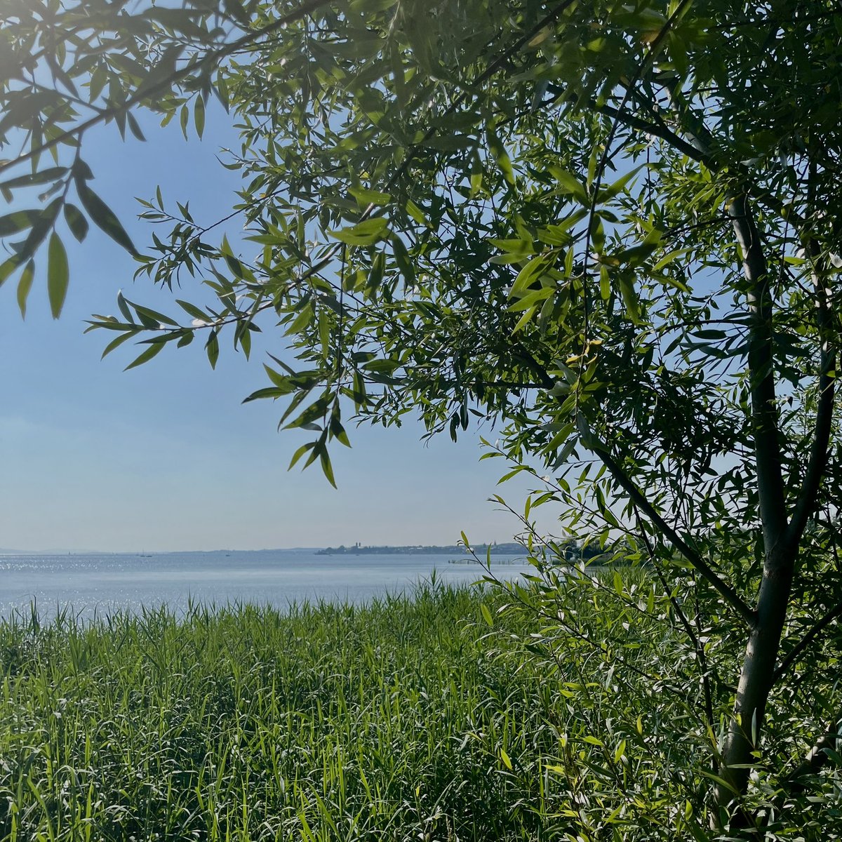 Rooooolaaaaand's tweet image. Beautiful weekend to get away from it all - nature and street life #stuttgart, #bodensee, #schwarzwald