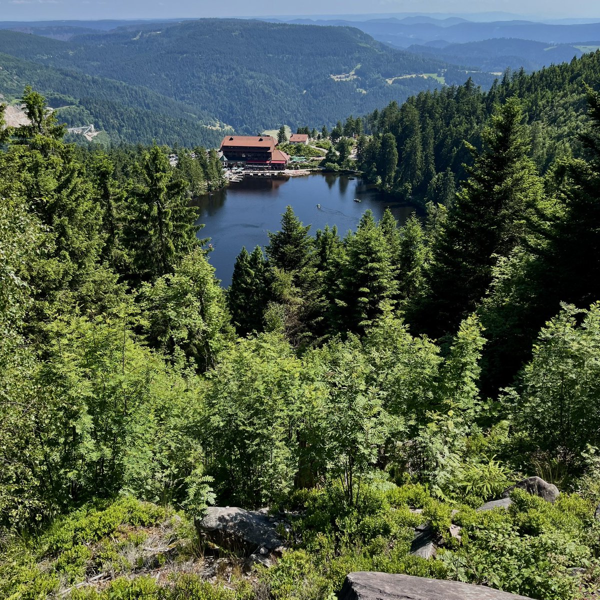 Rooooolaaaaand's tweet image. Beautiful weekend to get away from it all - nature and street life #stuttgart, #bodensee, #schwarzwald
