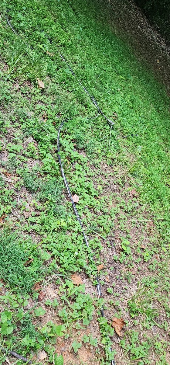rcwrapguy's tweet photo. @DukeEnergy @Ask_Spectrum 
Who's line is this? Tree took it town today, and it is dropped across 2 driveways https://t.co/vOszG9OCs4