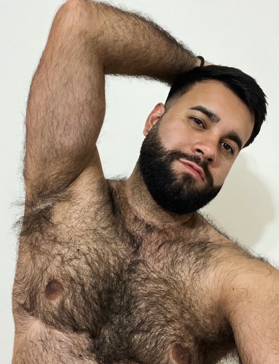 El Bearcito (@luisporta01) on Twitter photo 