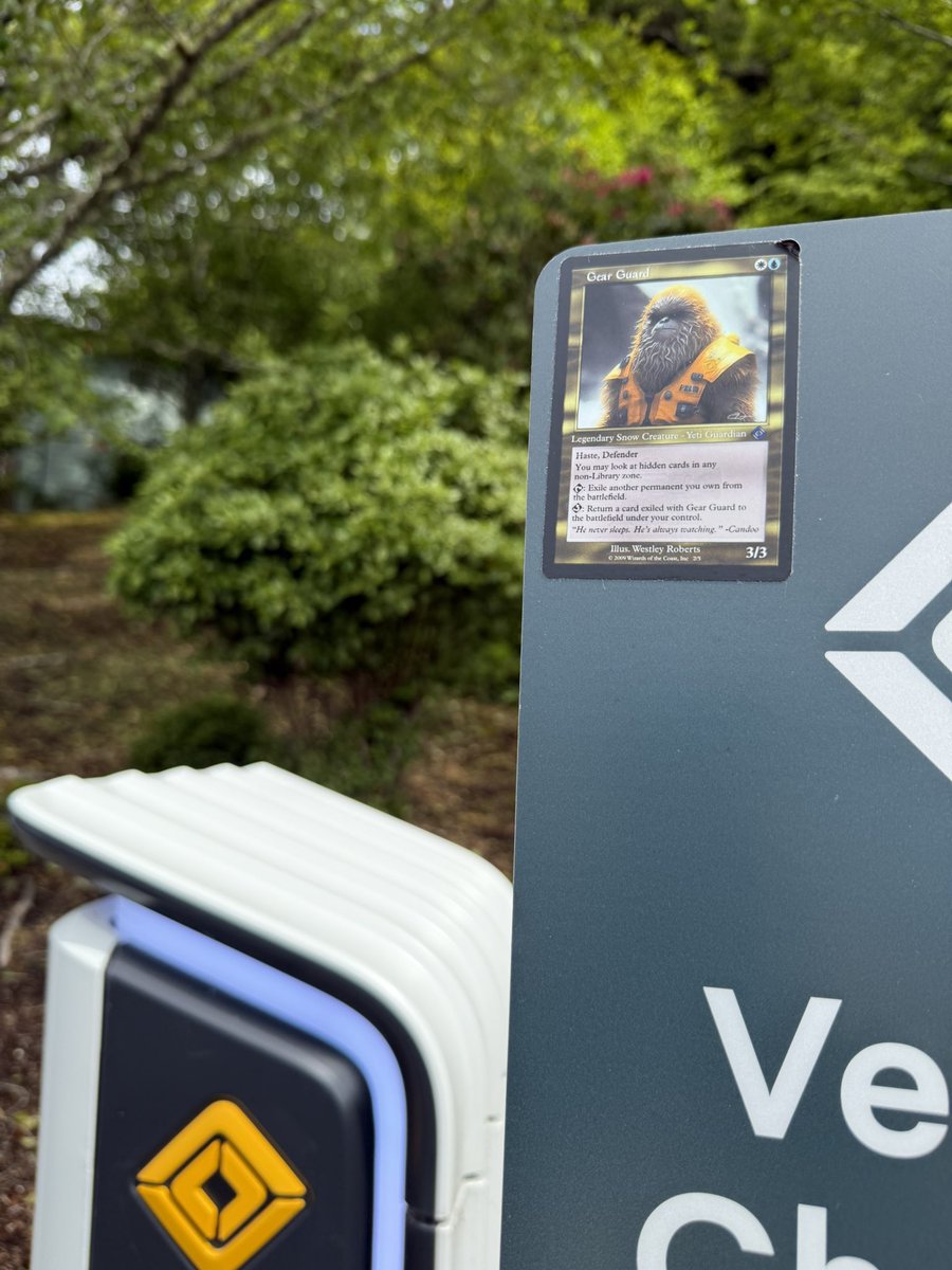 Another spotting! Lincoln City RAN!