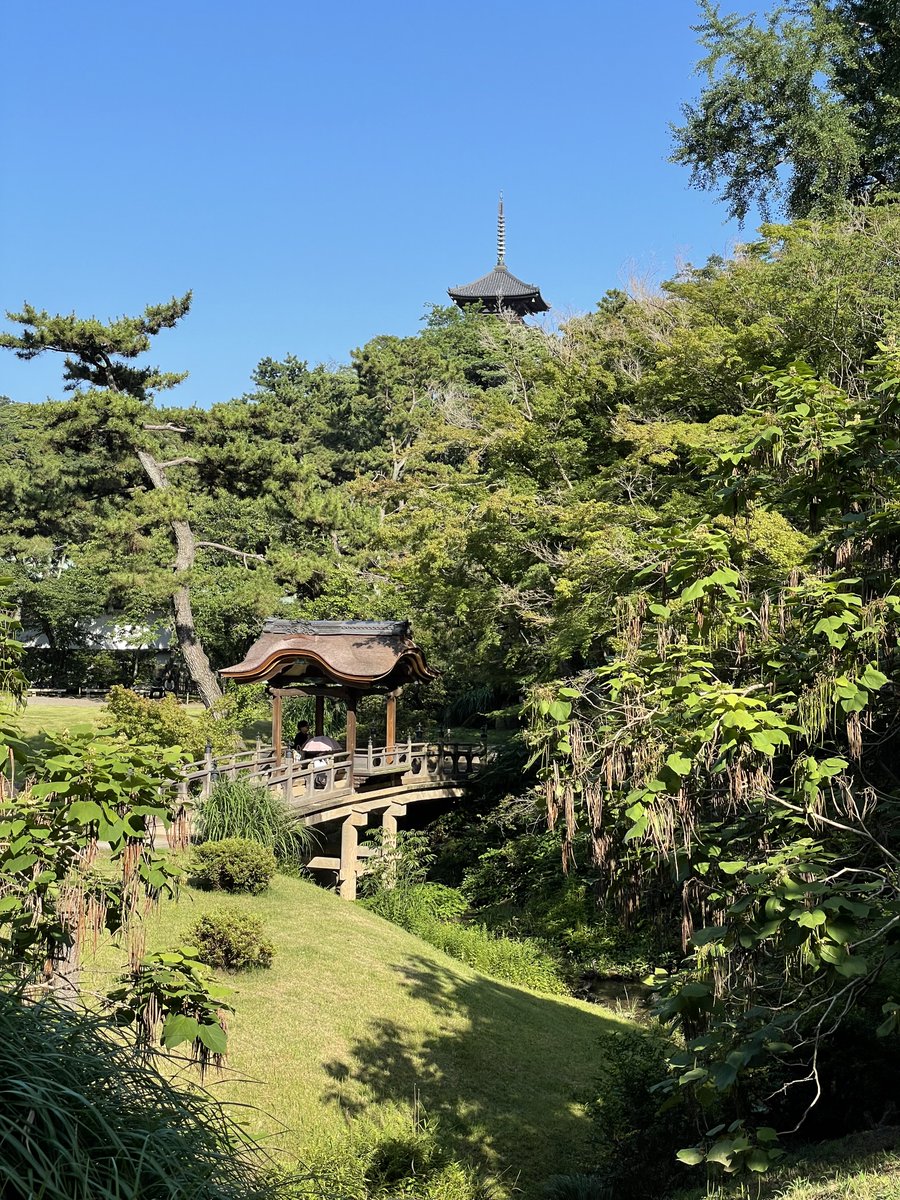 Jasper Callemeyn (@callemeynjasper) on Twitter photo It was an honor to participate during the JSN-ERA symposium at the 68th Annual Meeting of the Japanese Society of Nephrology in Yokohama 🇯🇵
Returning to Europe feeling inspired by the vibrant Japanese community and their scientific contributions!
<a href="/ERAkidney/">ERA - European Renal Association</a> <a href="/torra_roser/">Roser Torra</a> It was an honor to participate during the JSN-ERA symposium at the 68th Annual Meeting of the Japanese Society of Nephrology in Yokohama 🇯🇵
Returning to Europe feeling inspired by the vibrant Japanese community and their scientific contributions!
<a href="/ERAkidney/">ERA - European Renal Association</a> <a href="/torra_roser/">Roser Torra</a>