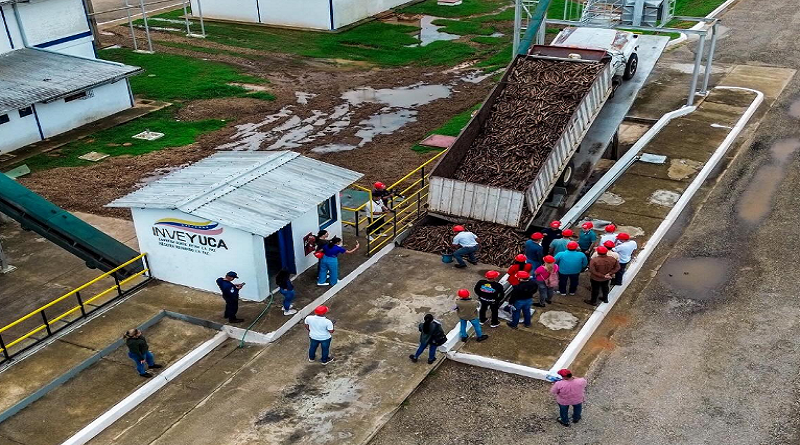#Economía | Planta Industrial Venezolana produce el 60 % del almidón de yuca que consume Venezuela

Amplía la información aquí: noticiasvenevision.com/noticias/econo…

#NoticiasVenevision #22Jun