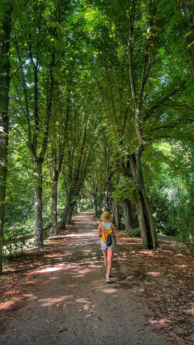 MOBerrocal's tweet photo. XXXVIII 💛🌳 en el Campo del moro https://t.co/9xpVAden3Y