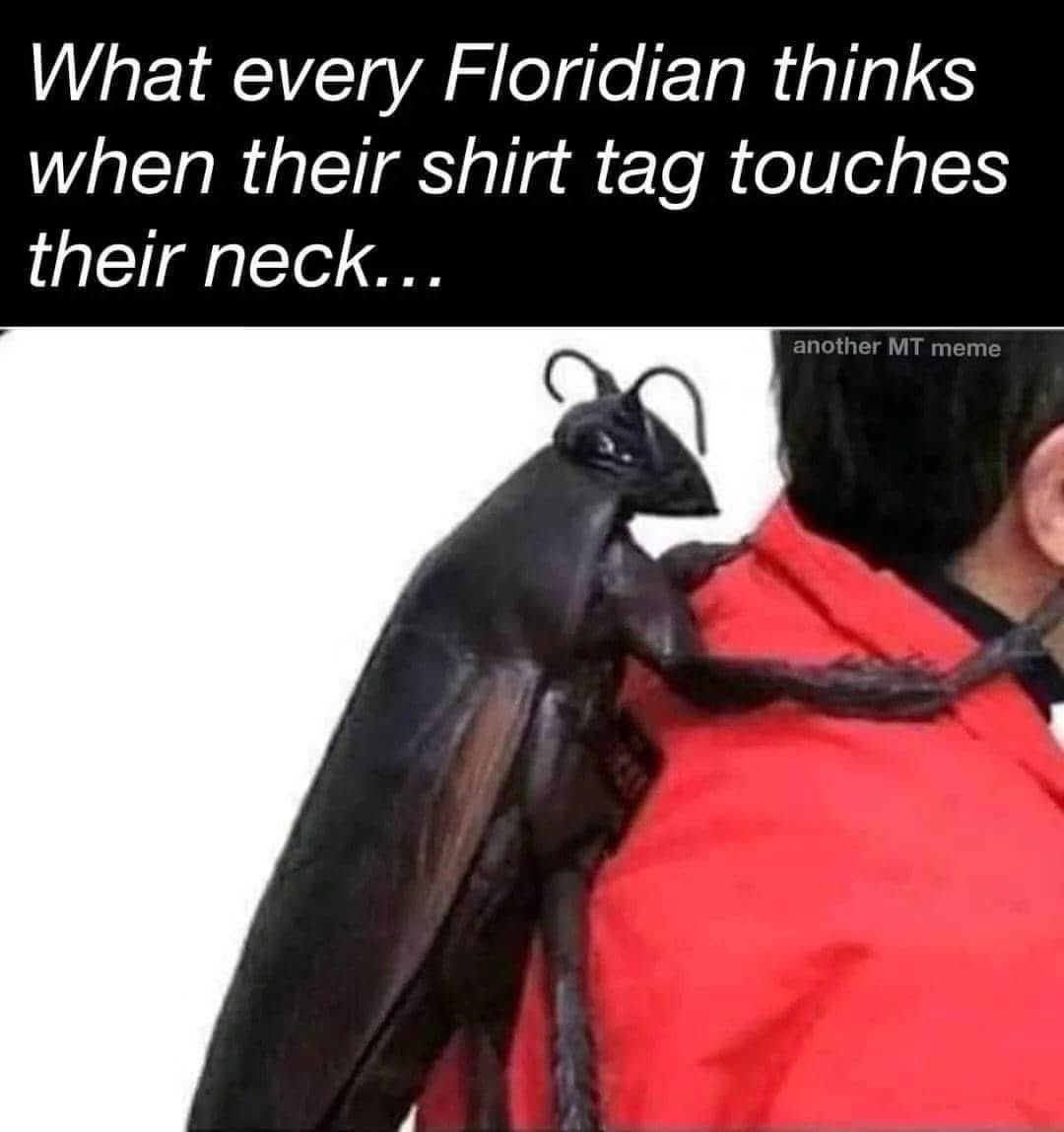 Summertime PSA: