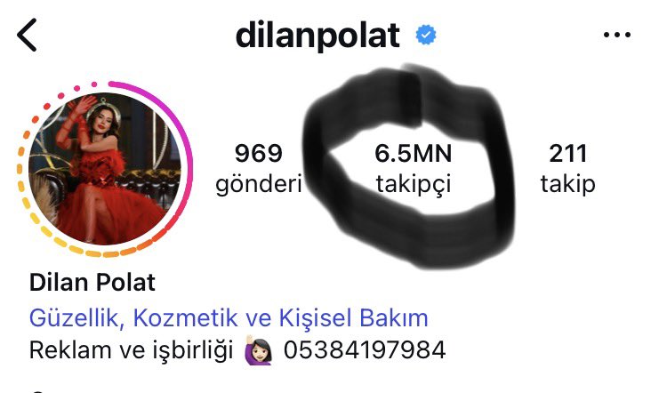 Dilan Polat şunu yaptı, bunu yaptı. Bu ülkede geri zekalı aramayın. Buraya bakın yeterli