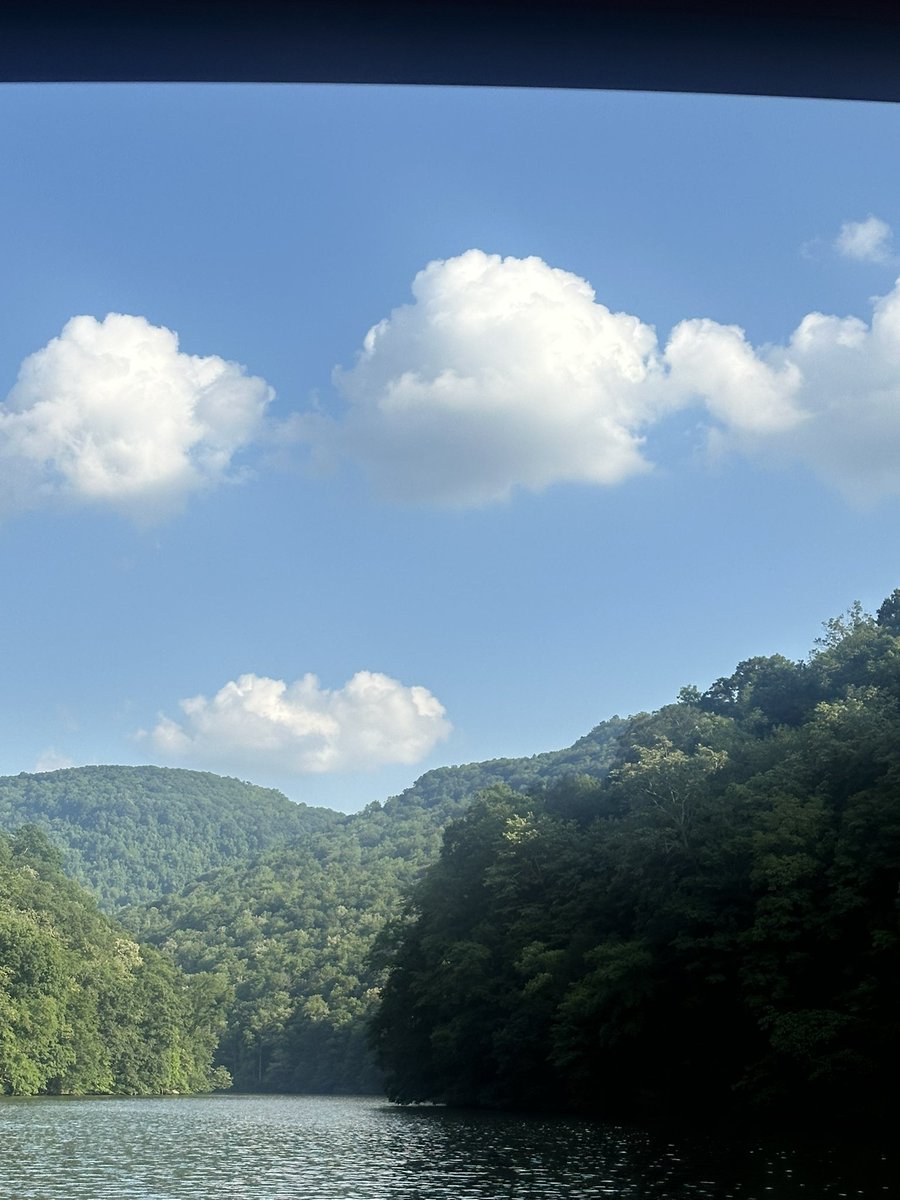 William Green tweet media