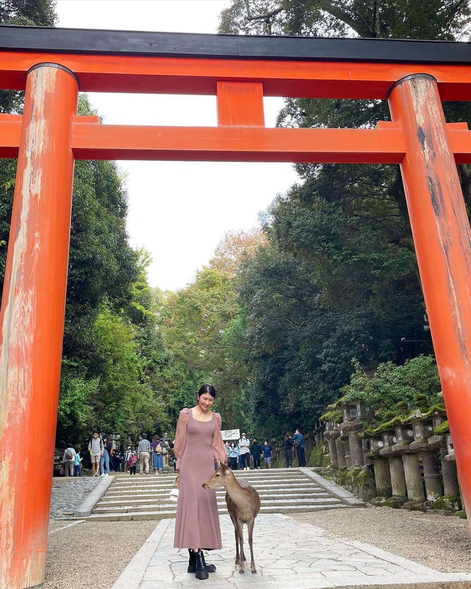 📍奈良 春日大社
赤い鳥居の下で鹿とささやき合う🍃
優しいひとときはいつも、気づかないうちに静かに訪れます✨
