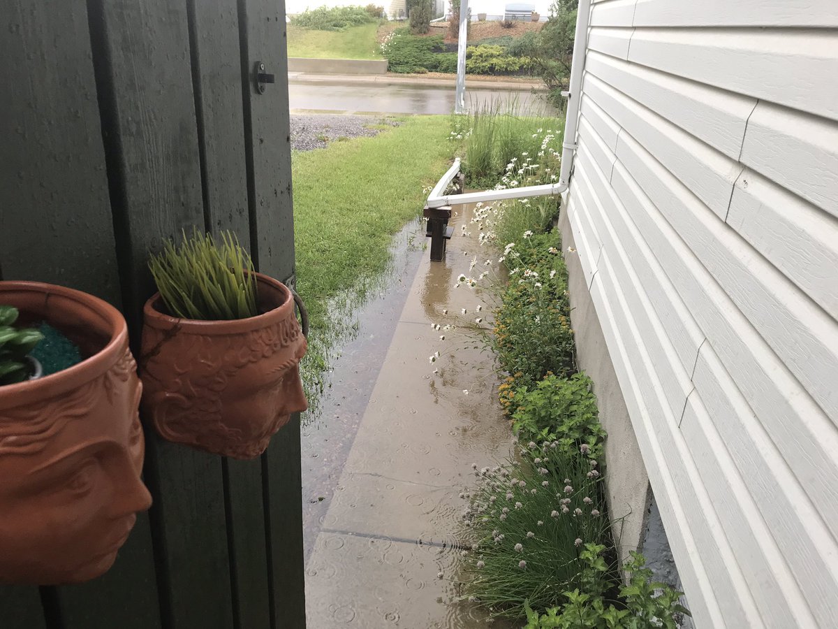 PeterKenth's tweet photo. #shareyourweather
#abstrom #rain
#drumheller #alberta
On June 21 2025
4β inches of rain https://t.co/e0yXZZuXu4