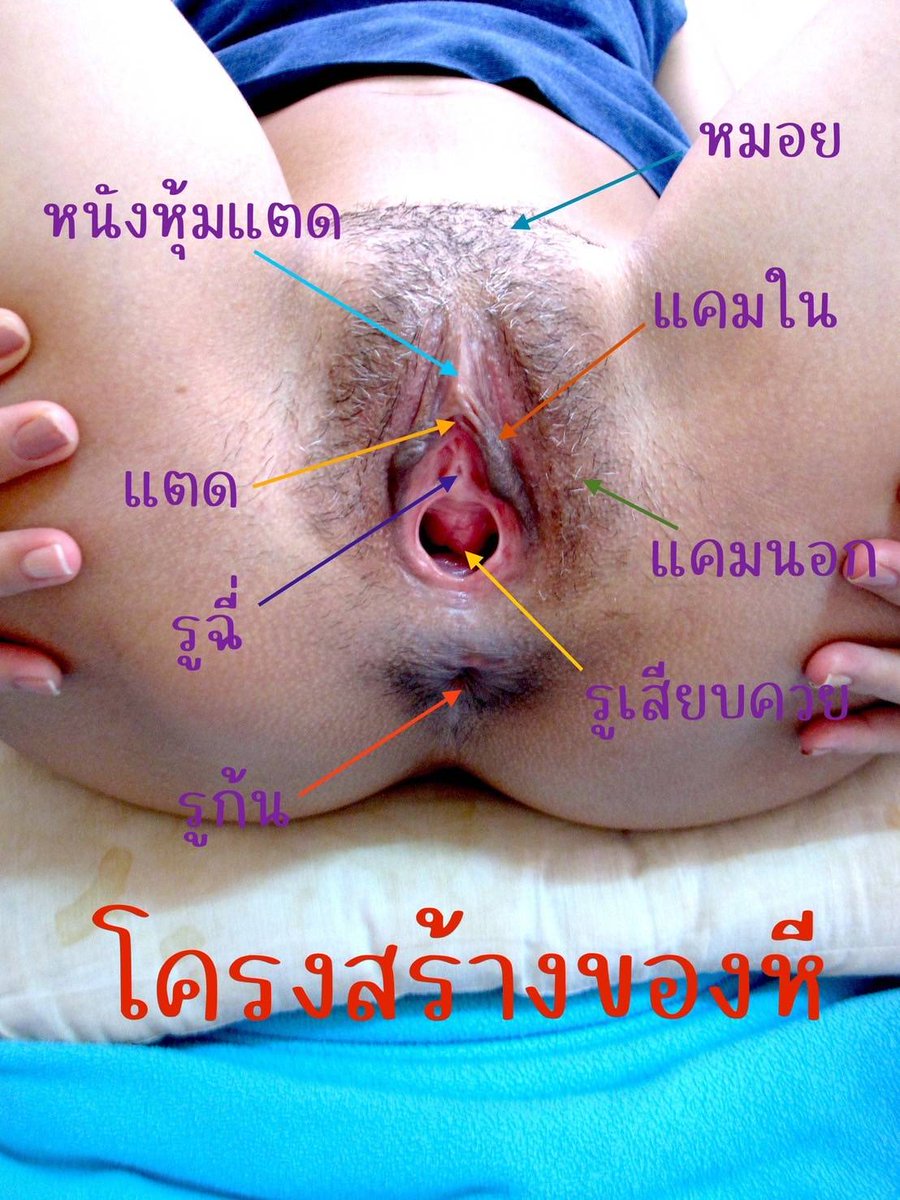 Ladyboyy7's tweet photo. ชอบตรงไหน https://t.co/nCEkorD1w3