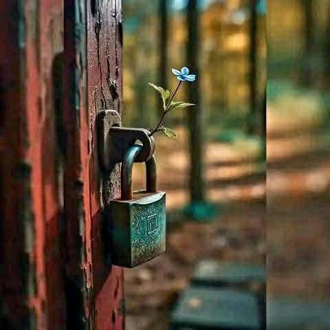 كنـت يومـا أقتـرب بشغف ممن أحب أقدم قلبي قبل يدي وأهب روحي قبل كلماتي...فكـلما أحببـت شيئا إمـا هجـرني أو ترك في أثر الأذى...فتعلمت أن أزرع بيني وبين ما أحب مسافة هادئة لا هي بالجفاء ولا بالقرب المؤذي مسافة تحميني وبقي على ما تبقى مني فليست كل مسافة بعدا بعض المسافات نجاة وبعض