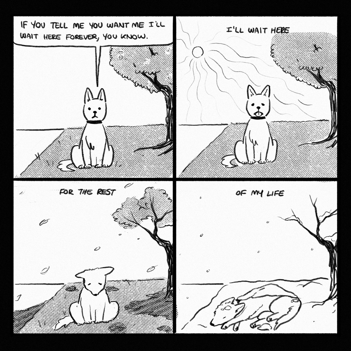 plutomaris's tweet photo. silly dog https://t.co/LRnwMJFStq