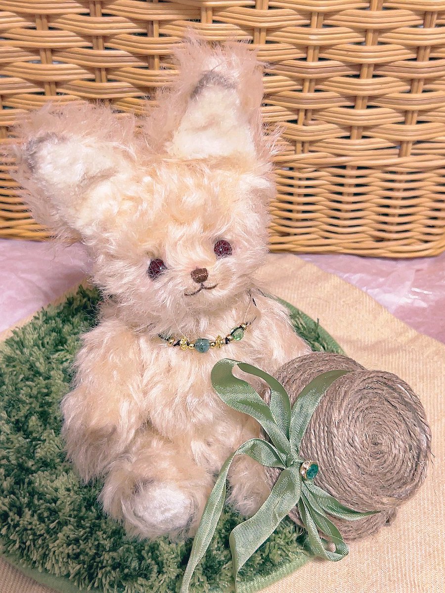 この子“ロア”には
お迎えする前から似合う色の
アクセサリー集めてた🌱𓂃 𓈒𓏸

エメラルドの
ブレスレットとピアス💍💎
ネックレスと麦わら帽子の
アクセントにしてみた🍀*゜

おめかしして一緒にピクニックいこうね🍊