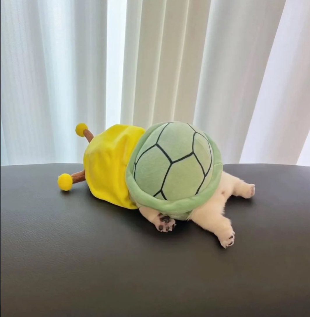 animalkyat's tweet photo. 帰宅したら宇宙人になって寝てたパグ見て https://t.co/dMXwP55nk3