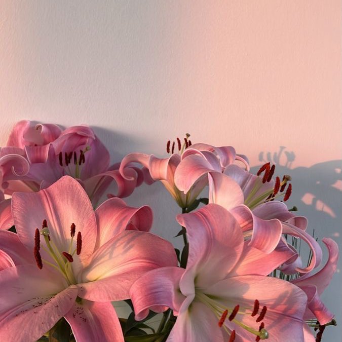 lcdhwang's tweet photo. 1.001— i found her where the lilies bloom.

@nyzlcd https://t.co/M6QDAbgX8N