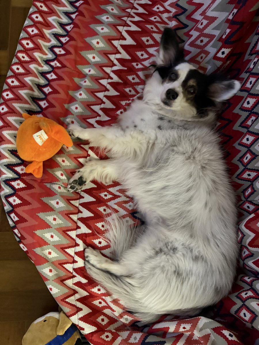 Registro fotográfico de José Carlos Pagode neste dia 22/06/2025. 📸❤️