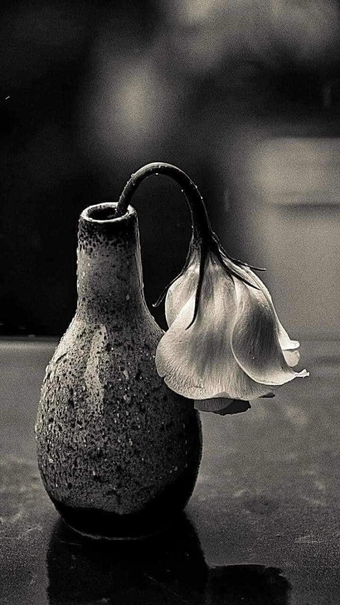 .... أحياناً يبكي فيك... كل شي.... الا عينيك.

◽◾