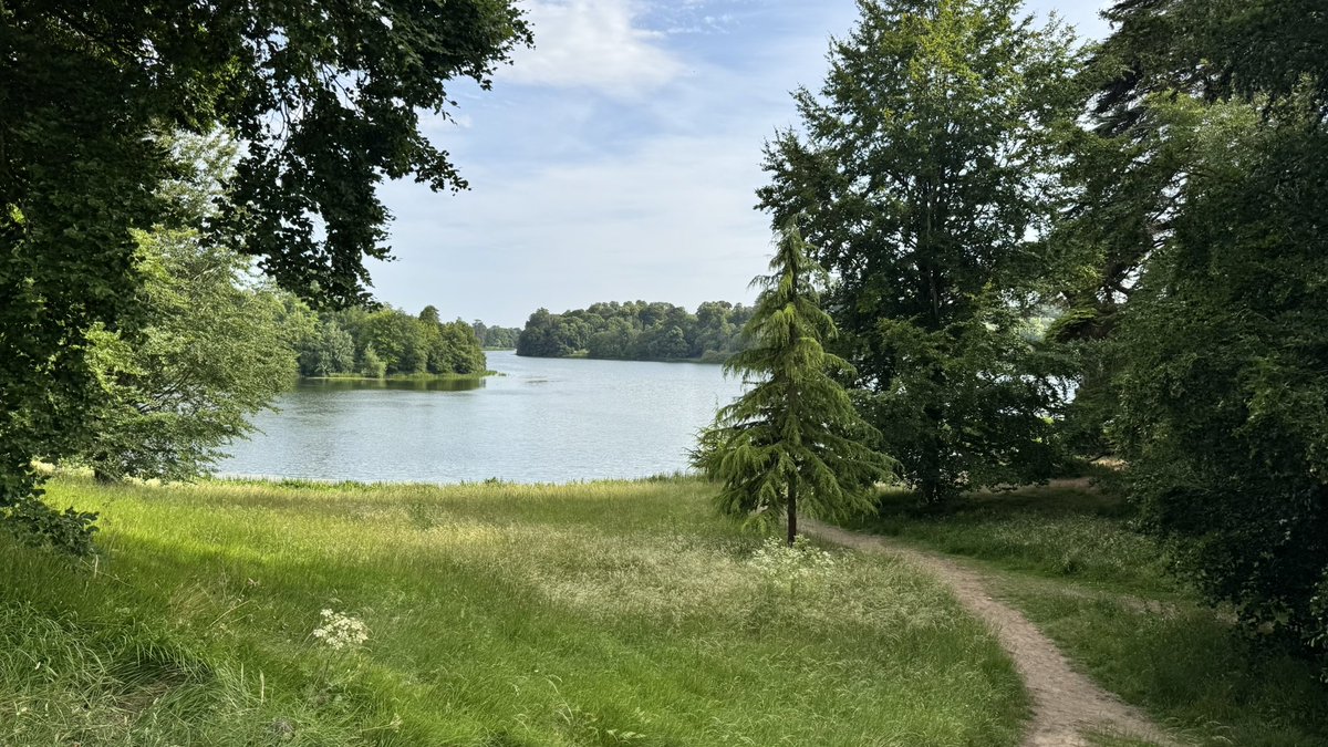 GrievingYoungFather tweet media