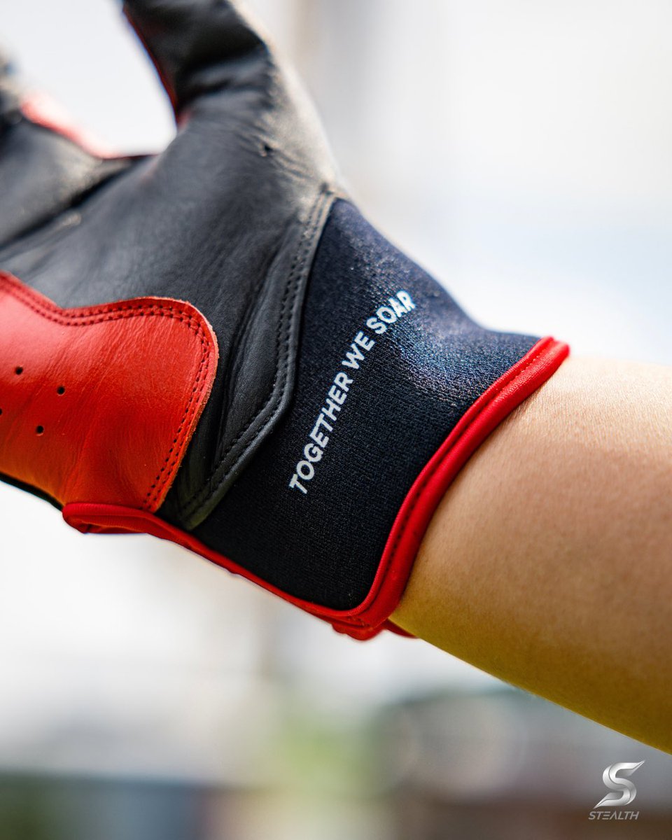 Stealth Batting Gloves tweet media