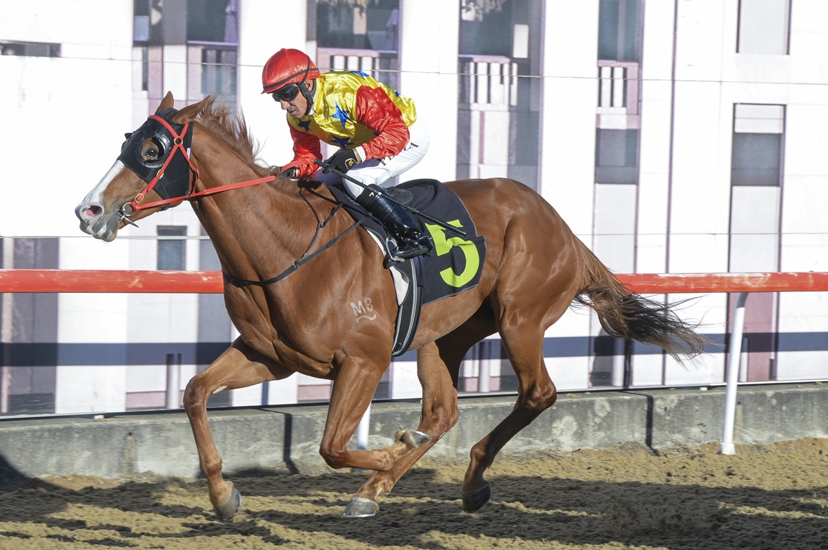 Thoroughbred Park (@thoroughbredpk) on Twitter photo Friday was a fun-filled winter day at Thoroughbred Park, packed with excitement and plenty of winners! A big congratulations to the connections behind race 5.
Race 5 โ Limburg - <a href="/PrideRacing/">Pride Racing</a>
๐ธ - <a href="/Bradley_Photos/">Bradley Photos</a> Friday was a fun-filled winter day at Thoroughbred Park, packed with excitement and plenty of winners! A big congratulations to the connections behind race 5.
Race 5 โ Limburg - <a href="/PrideRacing/">Pride Racing</a>
๐ธ - <a href="/Bradley_Photos/">Bradley Photos</a>