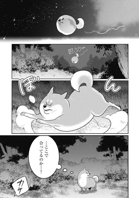 犬たちのヒミツの夜の集会(1/3) 