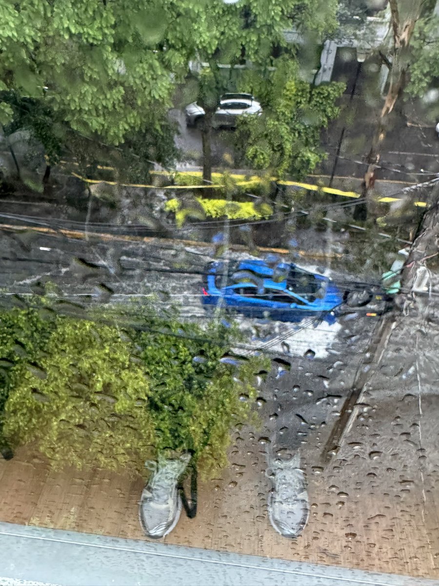 stacross_a's tweet photo. @LuisMendozaBJ Puedes mandar a recoger los restos del árbol caído hace una semana en minerva a la altura del 69 @ColCreditoCons1 con la lluvia de hoy esos restos taparon las coladeras.
También pido tu intervención para desazolvar a la altura de minerva 63 la coladera tiene asfalto está tapada https://t.co/8TKSjd7yfE