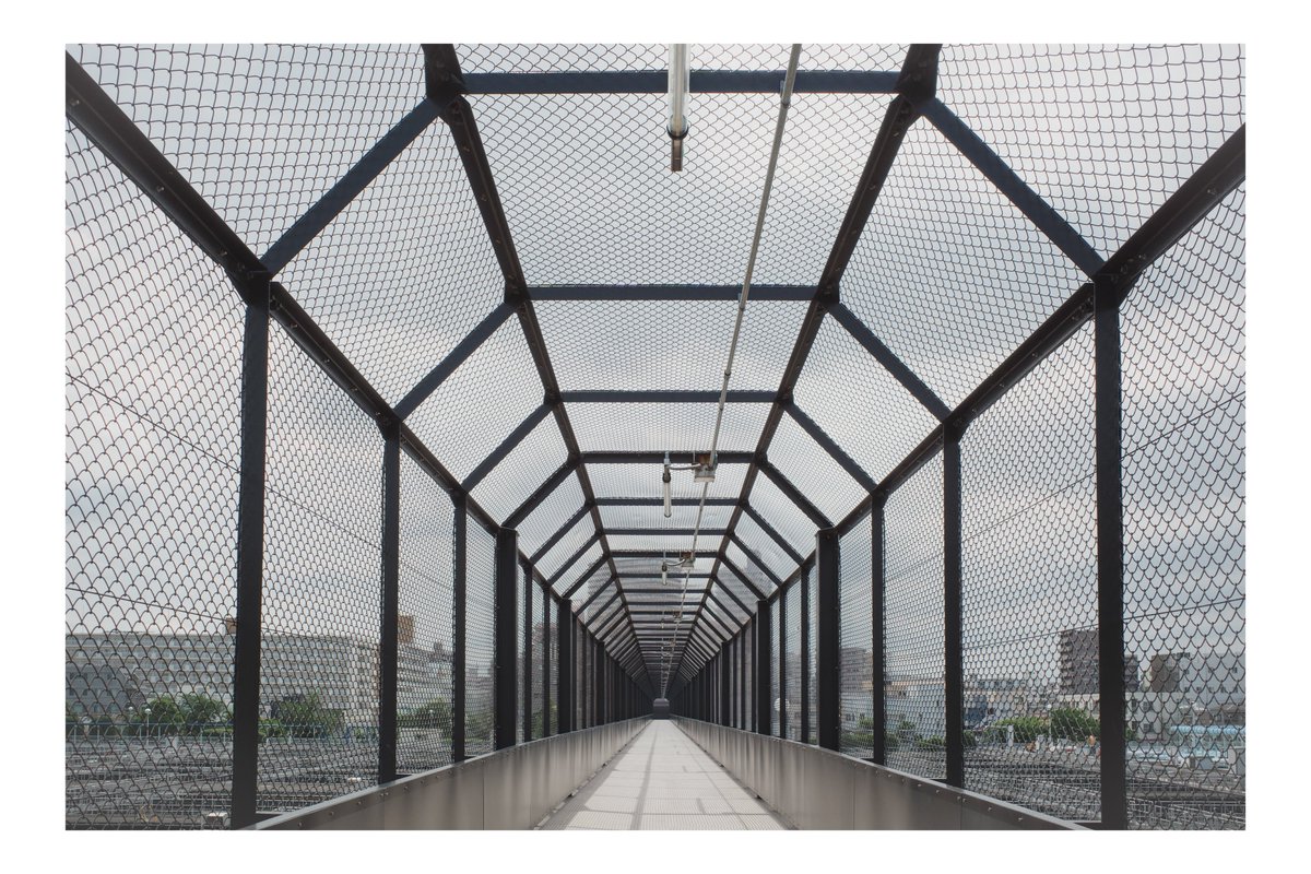 ph_classica's tweet image. あてもなく

#都市風景