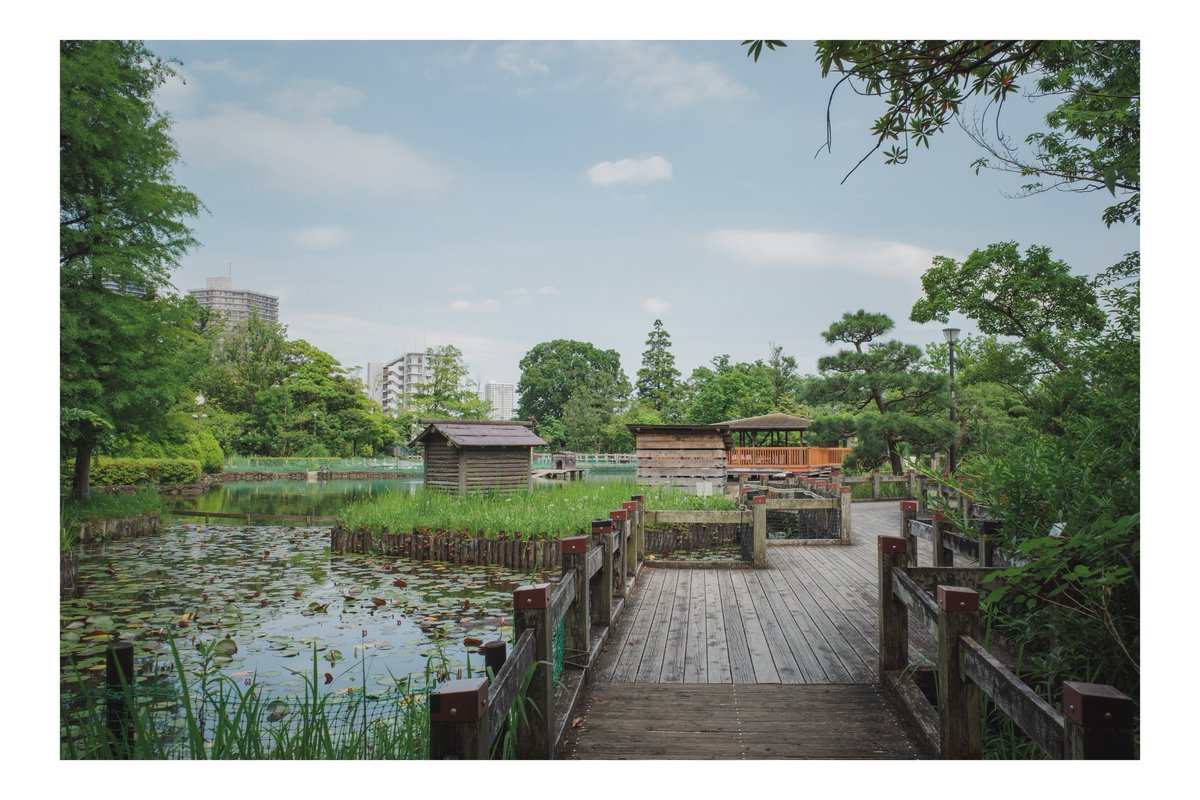 ph_classica's tweet image. あてもなく

#都市風景