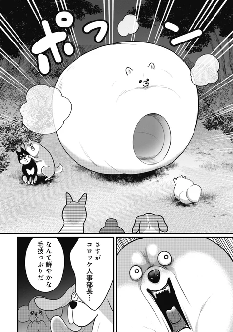 犬たちのヒミツの夜の集会(3/3) 