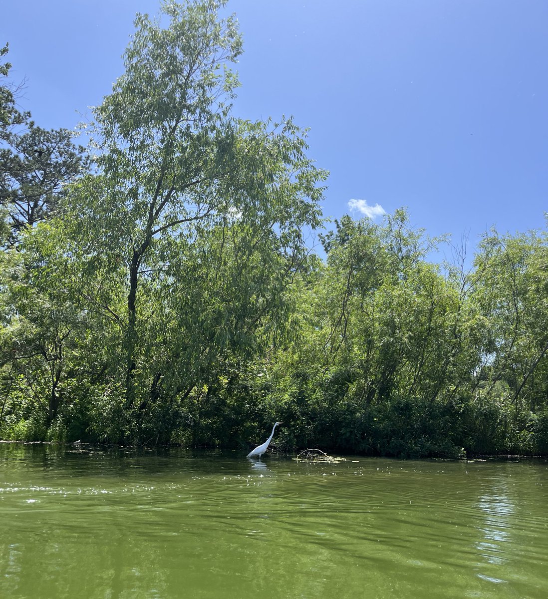 Thomasonian tweet media