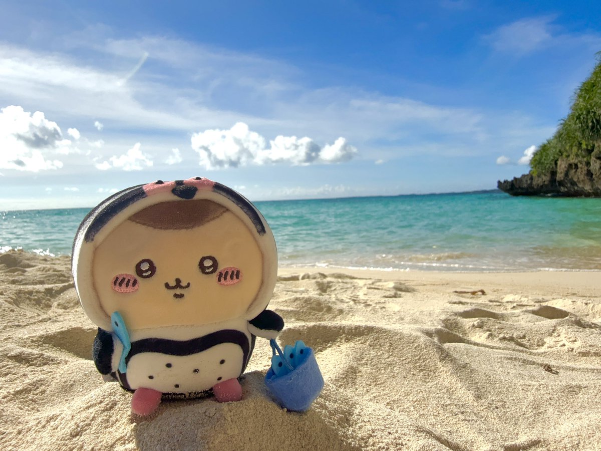 konimo_mhw's tweet photo. おはよう！
もうすっかり夏🌞🌴🌺
#ちいかわ https://t.co/kSPGHxyarP