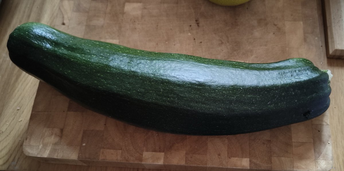 jenillustrator's tweet photo. @RupertLowe10 I ignored a courgette plant last year and got a giant foot long one https://t.co/8RVZVSJEsb