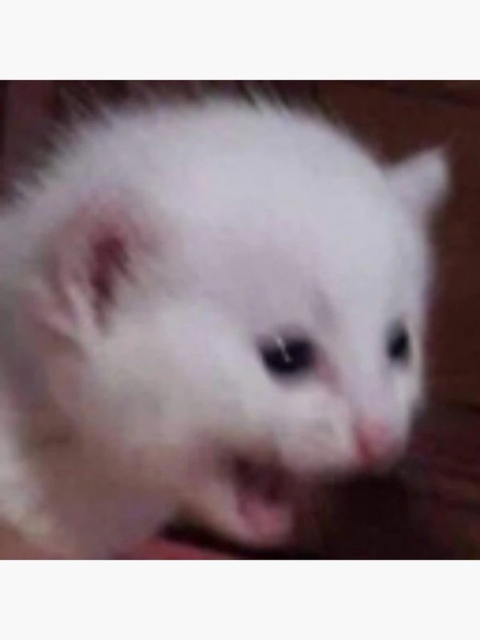 market opens tomorrow