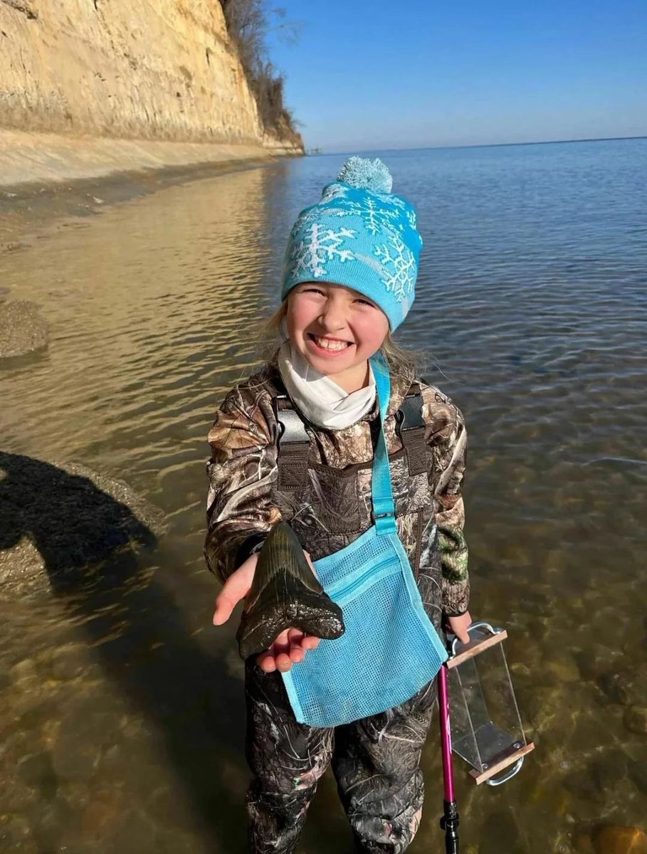9 Year Old Maryland Girl Finds 15 million Year Old Megalodon Tooth in the Chesapeake Bay.