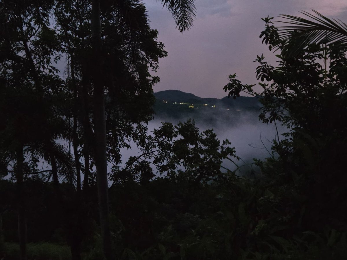 Arropaos por la neblina en Finca Victoria. Gracias Padre Celestial por permitirnos disfrutar TU grandeza