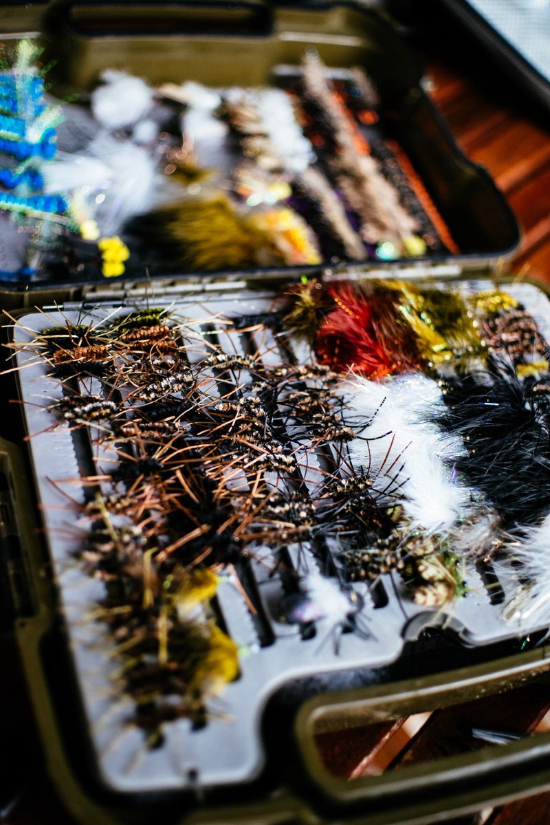 ElevenAngling (@elevenangling) on Twitter photo Chilean Patagonia offers anglers vast wilderness and remote waters where anglers will find trout that are often eager to go after big flies.
#flyfishing #flyfish #elevenangling #elevenexperience <a href="/elevenexperienc/">Eleven Experience</a> Chilean Patagonia offers anglers vast wilderness and remote waters where anglers will find trout that are often eager to go after big flies.
#flyfishing #flyfish #elevenangling #elevenexperience <a href="/elevenexperienc/">Eleven Experience</a>