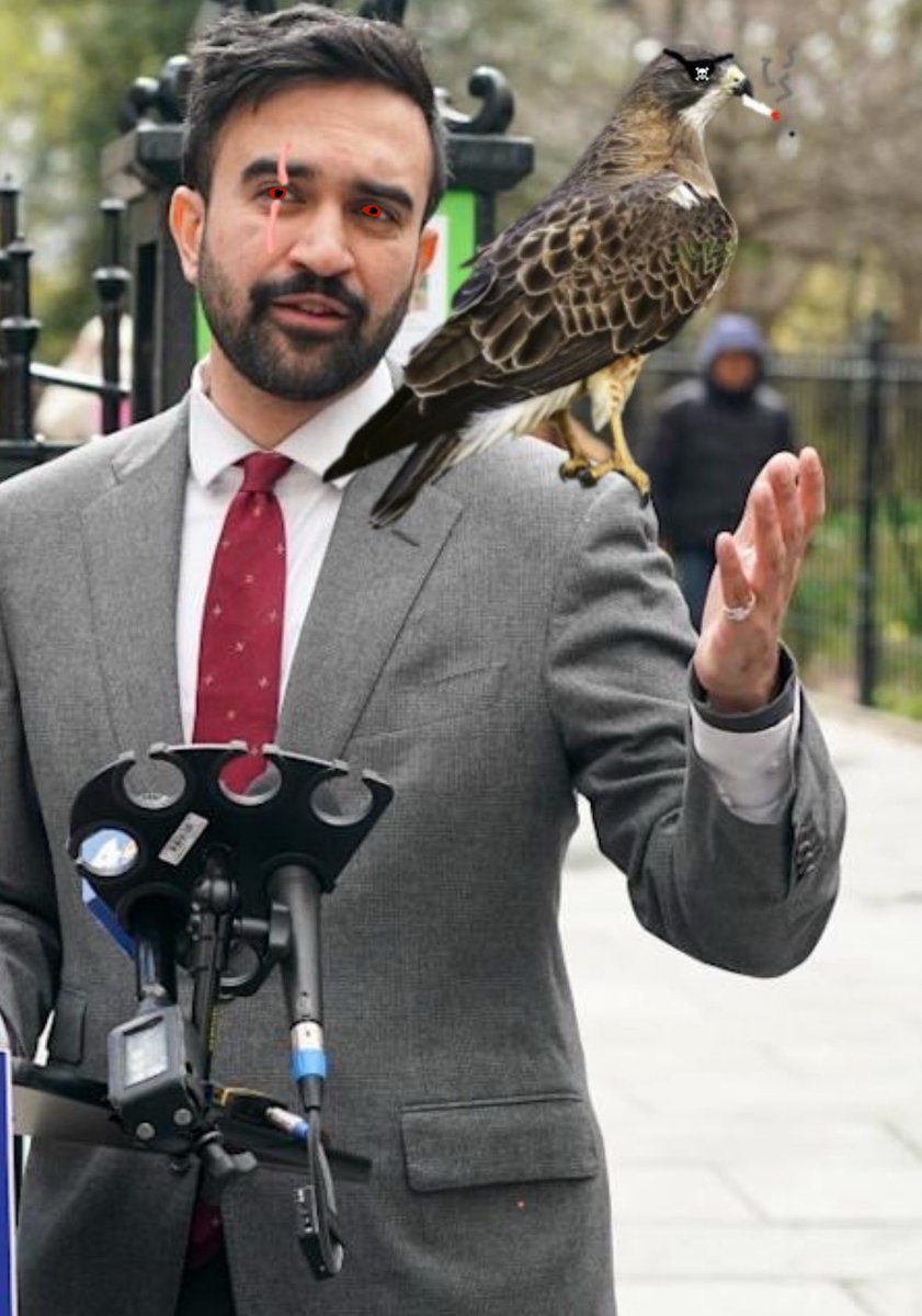 chaser_bait's tweet photo. i like zohran ! but aesthetically he’s a bad fit to be mayor of NYC. he’s too nice looking. i recommend that he give himself a facial scar, wear red contacts, and adopt Falcor, who has razor sharp talons, can fly at up to 100mph, and is also city comptroller https://t.co/EcMn6ZlhMh