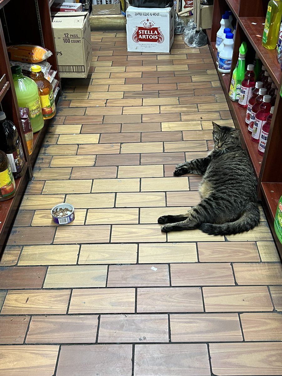 comolike's tweet image. 