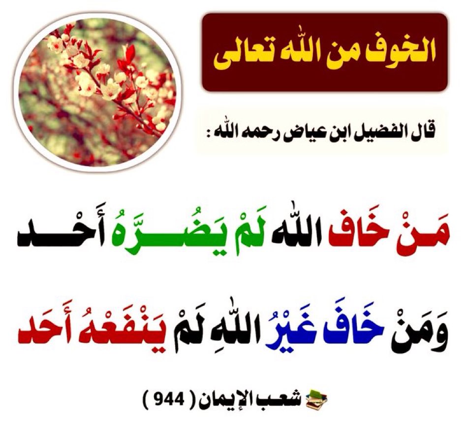 بسام زيد (@bassamzid) on Twitter photo 