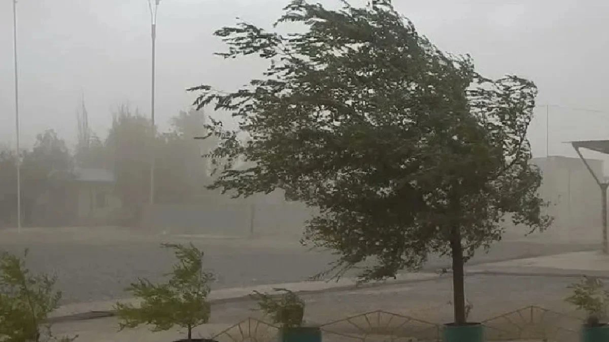 La ráfaga máxima según registros locales fue de 80.5 Km/h., a las 16:32 #lu24 #3A