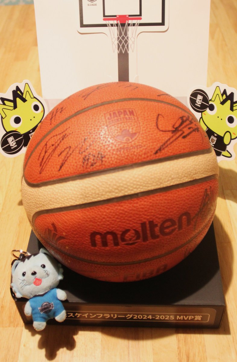 京都ハンナリーズ　サインボール ファンナレージポイント | 京都ハンナリーズ