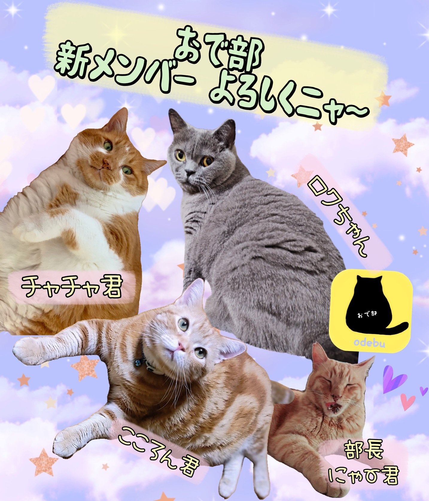 来夢さま専用ページ 冊子