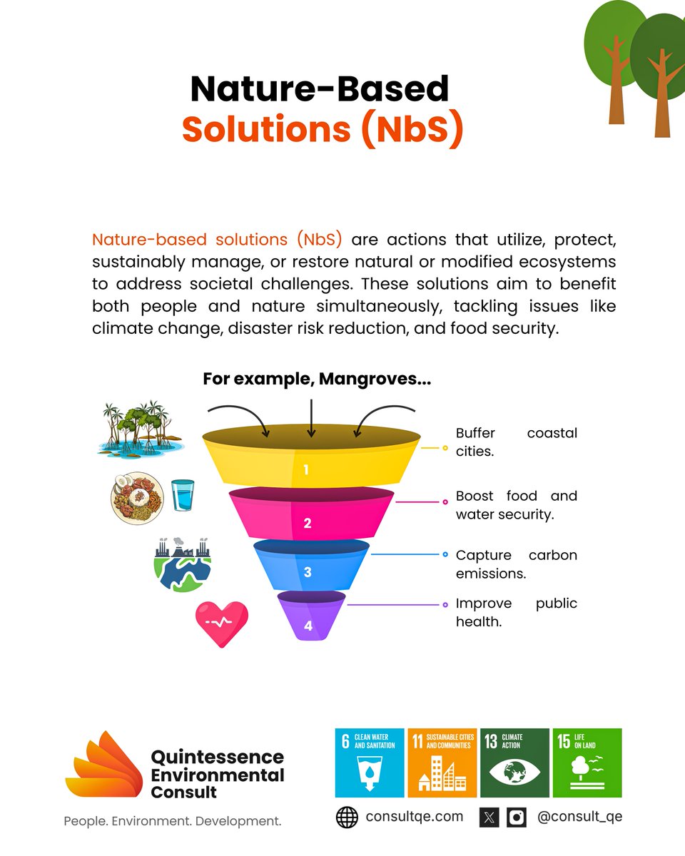 consult_qe's tweet photo. A bankable green project starts with a clear articulation of the value it creates—not just ecologically, but financially and socially. Nature-based solutions (NbS) offer a resilient approach to climate resilience.

Find out more in this week's blog! https://t.co/jV7N1pzJnd

#ClimateAction #NatureBasedSolutions #GreenNigeria #SDGs #SustainableDevelopment #Adaptation #Resilience #EcosystemRestoration

@DrNCMaduekwe   @FMEnvng  @Ibshell1