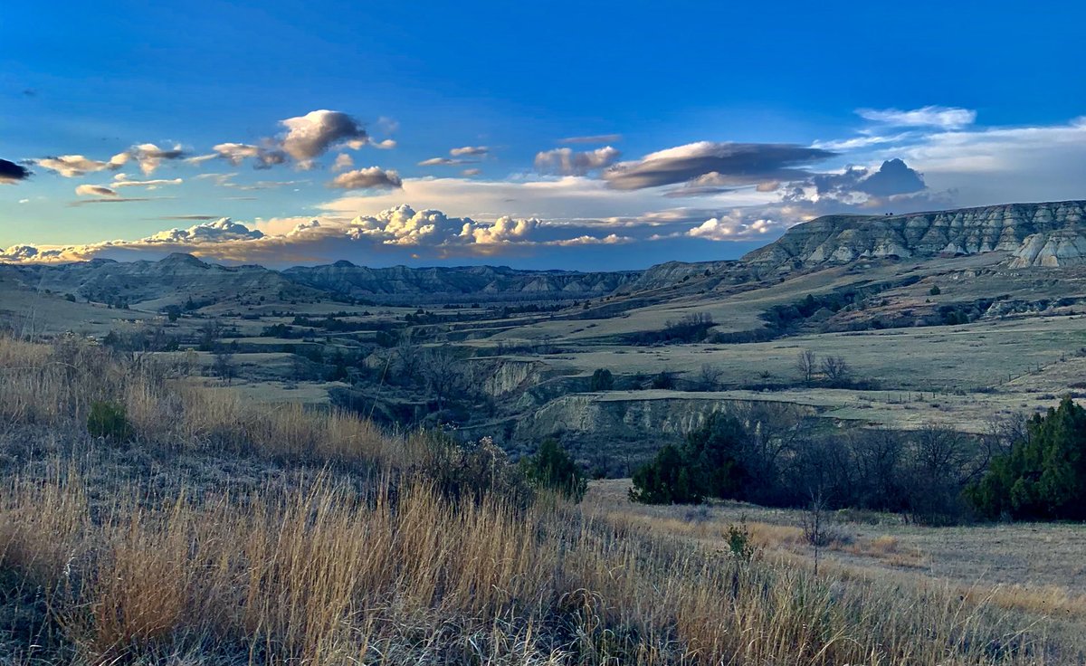 KC NoDak Brim 🇺🇸 tweet media